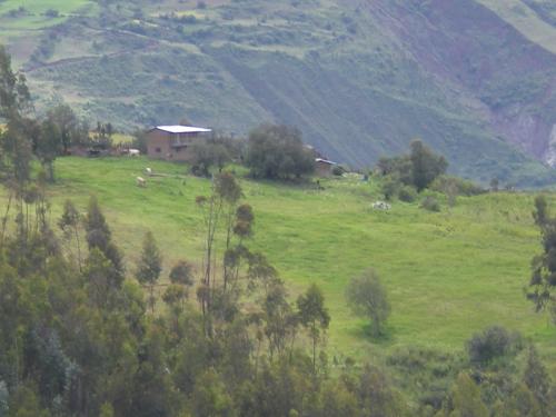 SE VENDE FUNDO DE 53.5 HECTAREAS