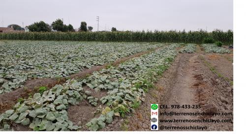 Venta de Terreno en Reque 