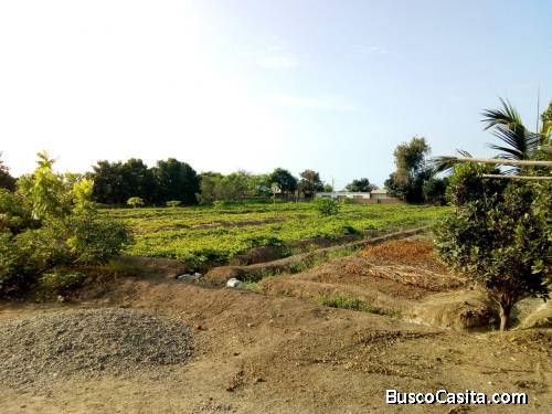 REMATO TERRENO DE 5400 M2 CERCA AL MALL PLAZA DE TRUJILLO