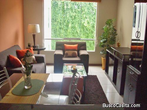 Alquiler de Departamento Amoblado en Parque Olavegoya - P. Libre