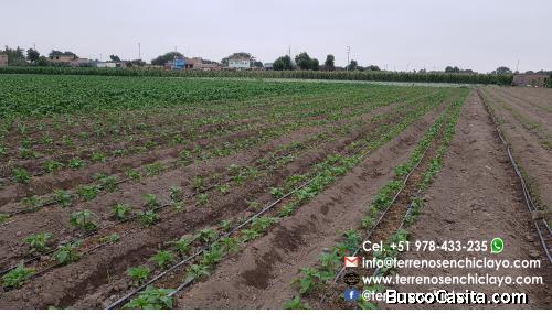 VENDO HERMOSO TERRENO CAMPESTRE EN REQUE DE 52500m²