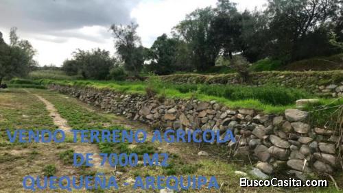 VENDO TERRENO AGRICOLA DE 7.000M2 QUEQUEÑA AREQUIPA