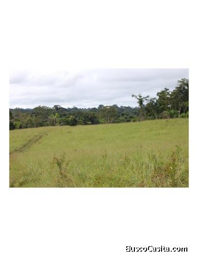 Ubicadisimo 117 Hectares, Tahuamanu, Madre de Dios, 5Km transceanica, cerca Frontera Brasil y Bolivi