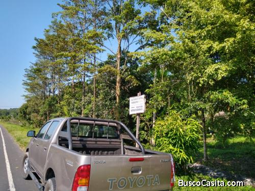 TERRENO CON ARBOLES FRUTALES Y MADERABLES LISTO PARA PISCIGRANJA