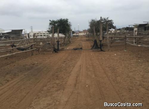 VENDO TERRENO INDUSTRIAL EN LURIN