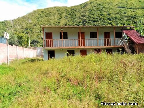 SE VENDE HERMOSO TERRENO  DE 1000m2 EN SAUCEDA - LIMATAMBO - CUSCO 