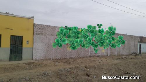 VENDO LOTE CERCADO DE MATERIAL NOBLE DE 500m2 EN LOS HUERTOS ,