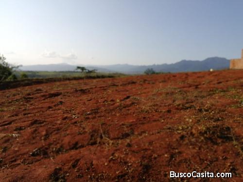 vendo terreno de 10300 m2