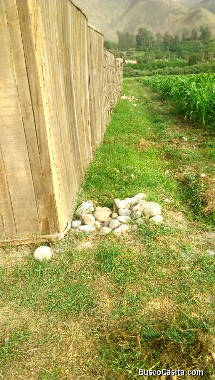 TERRENO RESIDENCIAL EN VENTA