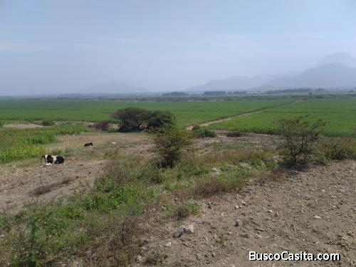 Terreno agrícola, 7.40 hectáreas 