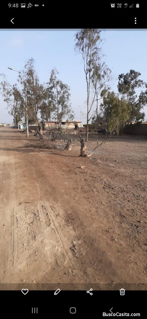 VENDO TERRENO PAPA LEON XIII CHILCA 3700M2