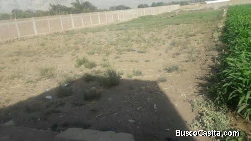 ????????VENDE TERRENO COMPLETO EN LA CAMPIÑA DE MOCHE 2400m2