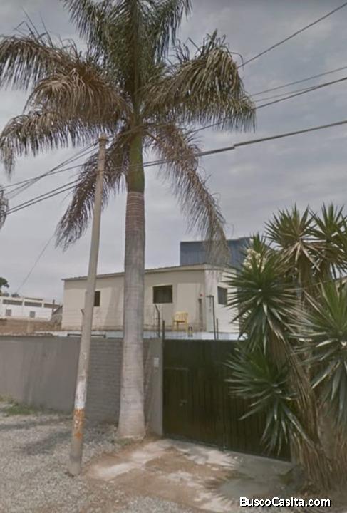 LOCAL DE USO INDUSTRIAL CON SUBESTACION DE 250 KW - ZONA DE LURIN