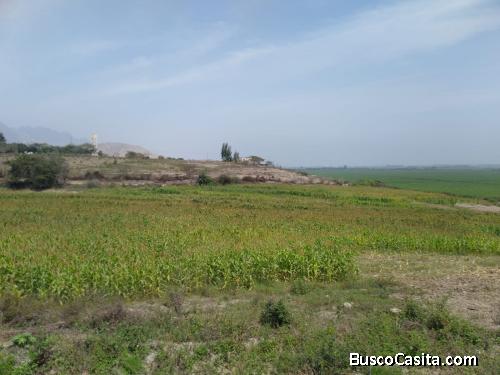 Terreno agricola 7.40 hectáreas 