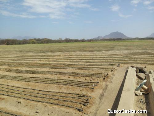 VENTA TERRENO CON AGUA EN EL NORTE PERU OLMOS PERU 