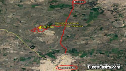 VENTA DE TERRENOS AGRÌCOLA  DISTRITO Y PROVINCIA DE FERREÑAFE