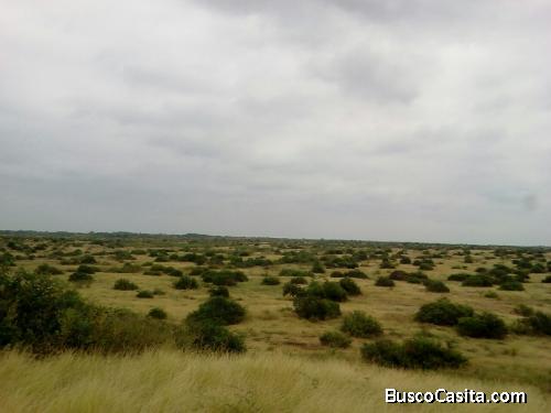 VENTA DE TERRENO carretera SULLANA-TAMBOGRANDE 