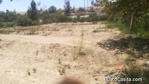  TERRENO PARA CASA DE CAMPO-FRENTE A CALIENTES - TACNA