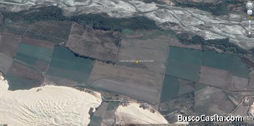 TERRENO FUNDO AGRÍCOLA INDEPENDENCIA PISCO - ICA