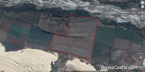 TERRENO FUNDO AGRÍCOLA INDEPENDENCIA PISCO - ICA