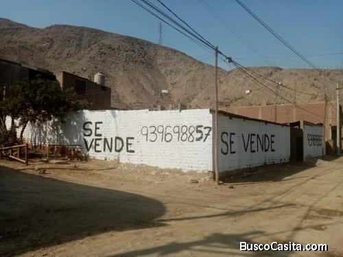 TERRENO CARAPONGO – HUACHIPA LURIGANCHO