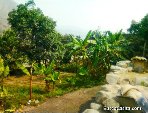 BELLO TERRENO EN CHOSICA 