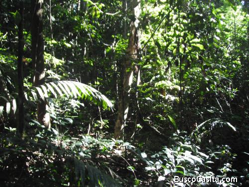 33 hectàreas a pie de carretera