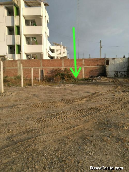 Vendo excelente lote en la alborada TUMBES 