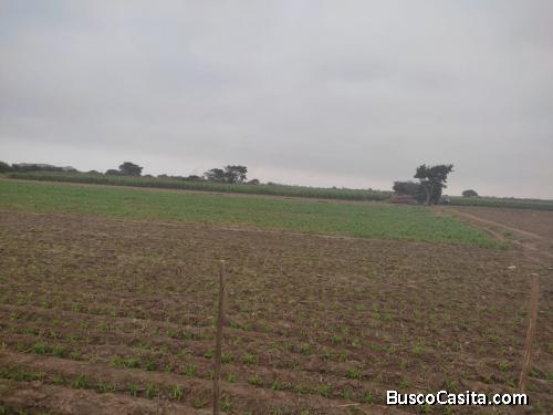 venta terreno en Las Praderas de San Isidro