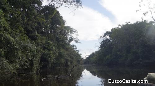 Vendo terreno de 19ha.9816.82 m² en la selva del Amazonas