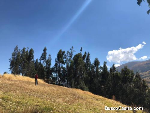 TERRENO EN UÑAS - HUANCAYO REMATE