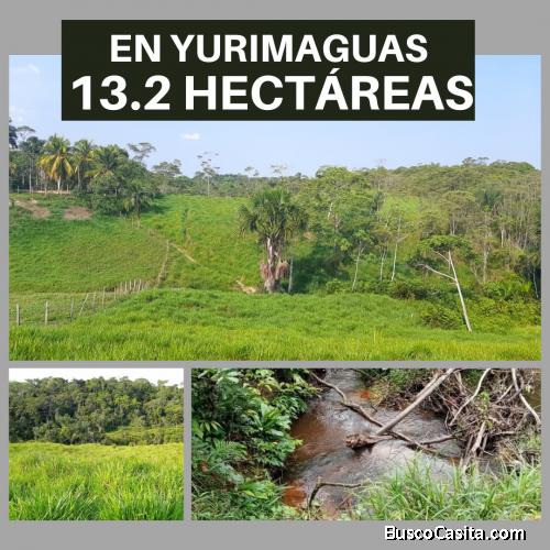 ????VENDO 13.2 HECTÁREAS EN YURIMAGUAS | Ideal para casa de campo ????