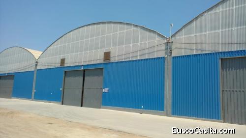 ALQUILER DE NAVE PARABOLICA DE 825 M2 EN LURIN