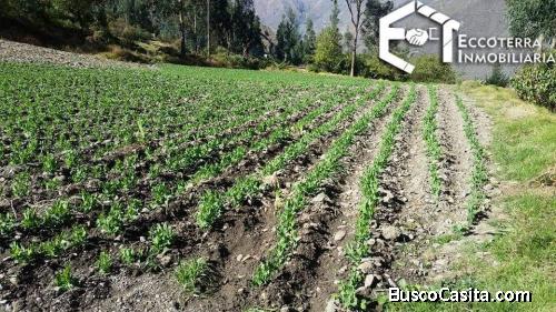 EN CUSCO-OLLANTAYTAMBO VENDO TERRENO PARA CASA DE CAMPO/CONDOMINIO /PROYECTO HOTELERO 