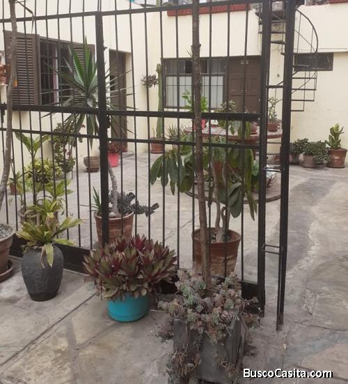 Miraflores Mini-departamento