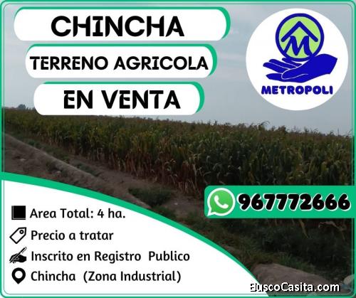 VENTA DE TERRENO AGRICOLA EN CHINCHA