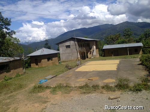Vendo terreno agricola para Fundo Turismo Vivencial- con bosque Alto Natural
