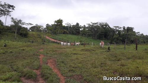 Ocasión Venta de terreno Puerto Bemudez-Oxapampa