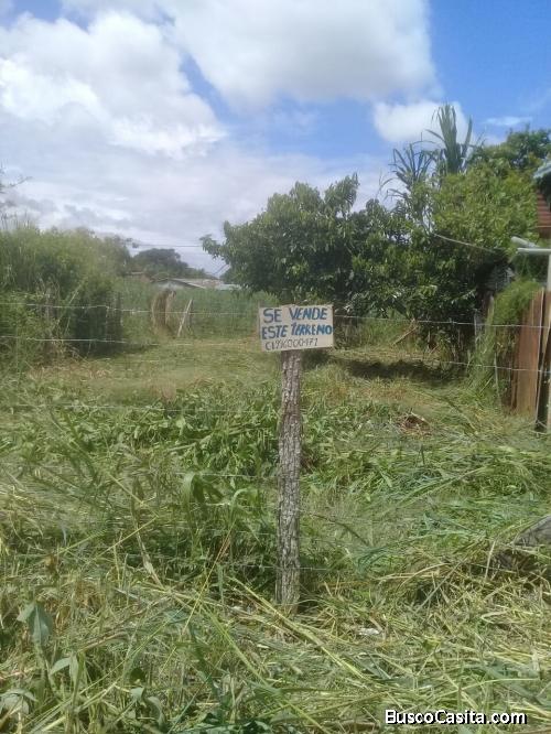 vendo terreno la planicie morales tarapoto