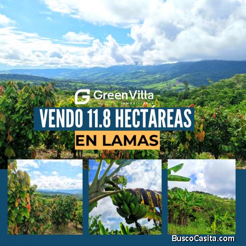 VENDO TERRENO AGRÍCOLA EN LAMAS 11.8 HECTÁREAS 