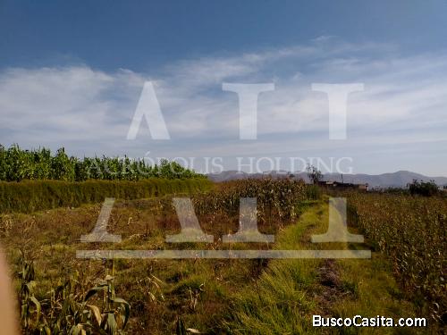 Terreno agrícola ubicado en la Calle Colón - Paucarpata (Arequipa)