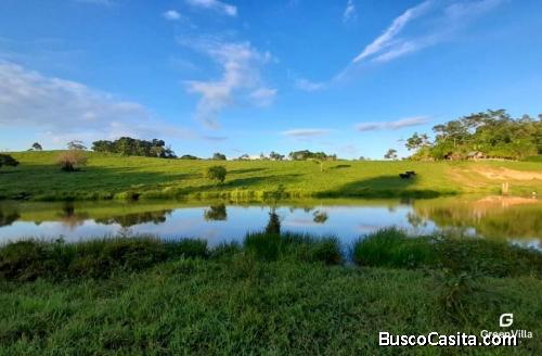 VEBDO TERRENO DE 18 HECTÁREAS EN YURIMAGUAS A 2 HORAS DE TARAPOTO 