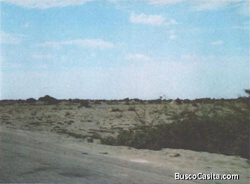 TERRENO EN VENTA HUACHO PARAISO