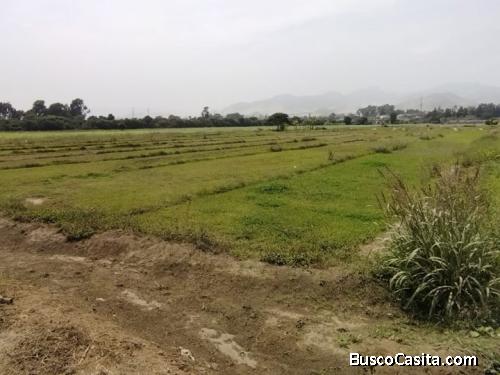 OCASIÓN TERRENO BUJAMA MALA