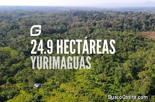 VENDO TERRENO DE 24.9 HECTÁREAS PARA PALMA Y CACAO 