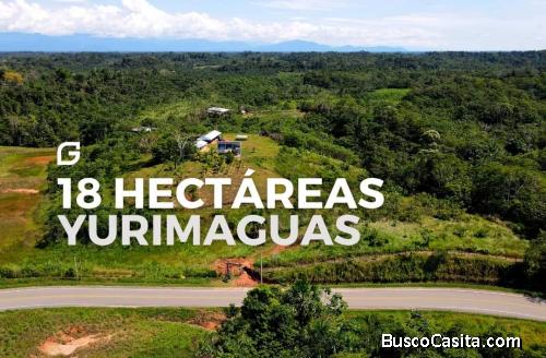 VENDO TERRENO 18.2 HECTÁREAS EN YURIMAGUAS A 2 HORAS DE TARAPOTO 