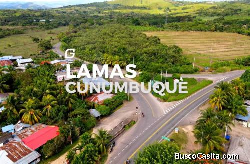 VENDO TERRENO 82 HECTÁREAS EN LAMAS - TARAPOTO 