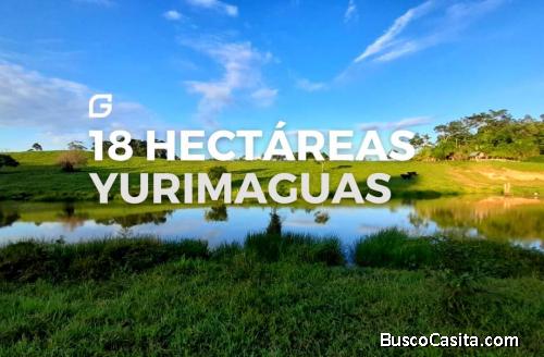 VENDO TERRENO 18 HECTÁREAS EN YURIMAGUAS A 2 HORAS DE TARAPOTO 