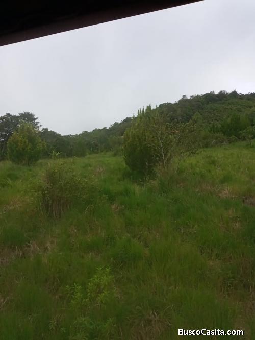 Precioso terreno de 7 ha en Quillazu Oxapampa
