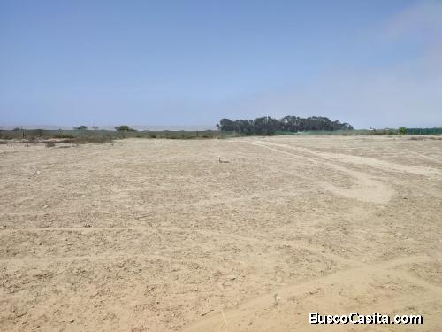 TERRENO ASIA PLAYA  CULTIVO